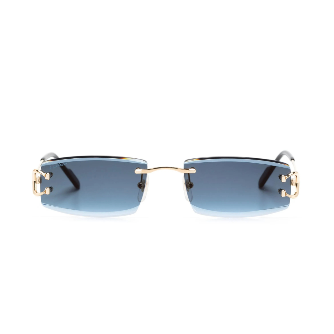 Elegant Sunglasses for Timeless Appeal