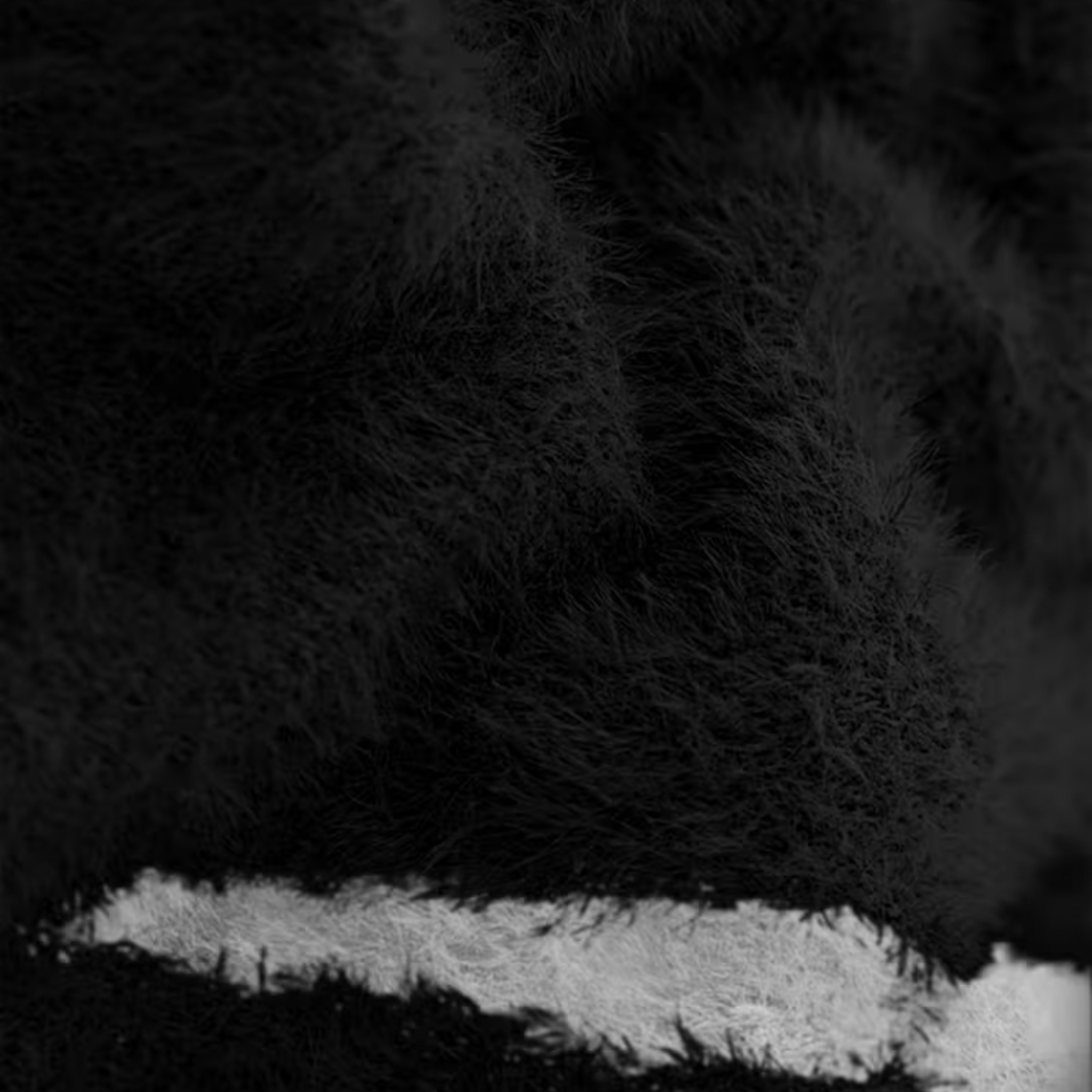 CRACKLINE — SWEATER