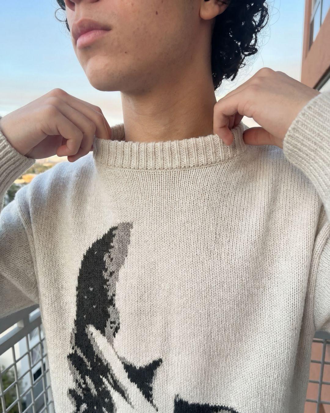 Pull en Maille "Why?"